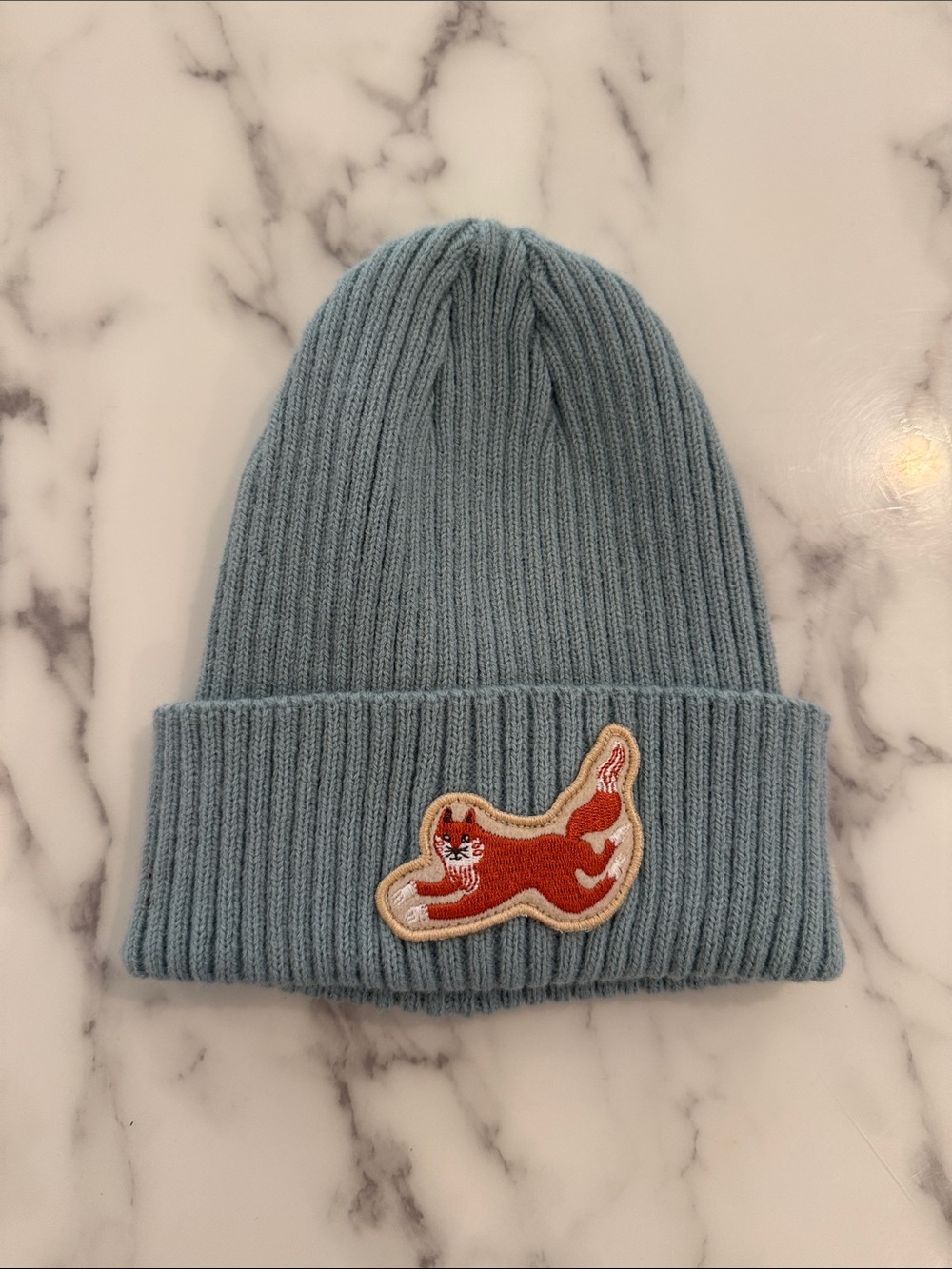 Children's Pale Blue Ribbed Beanie with Fox Patch